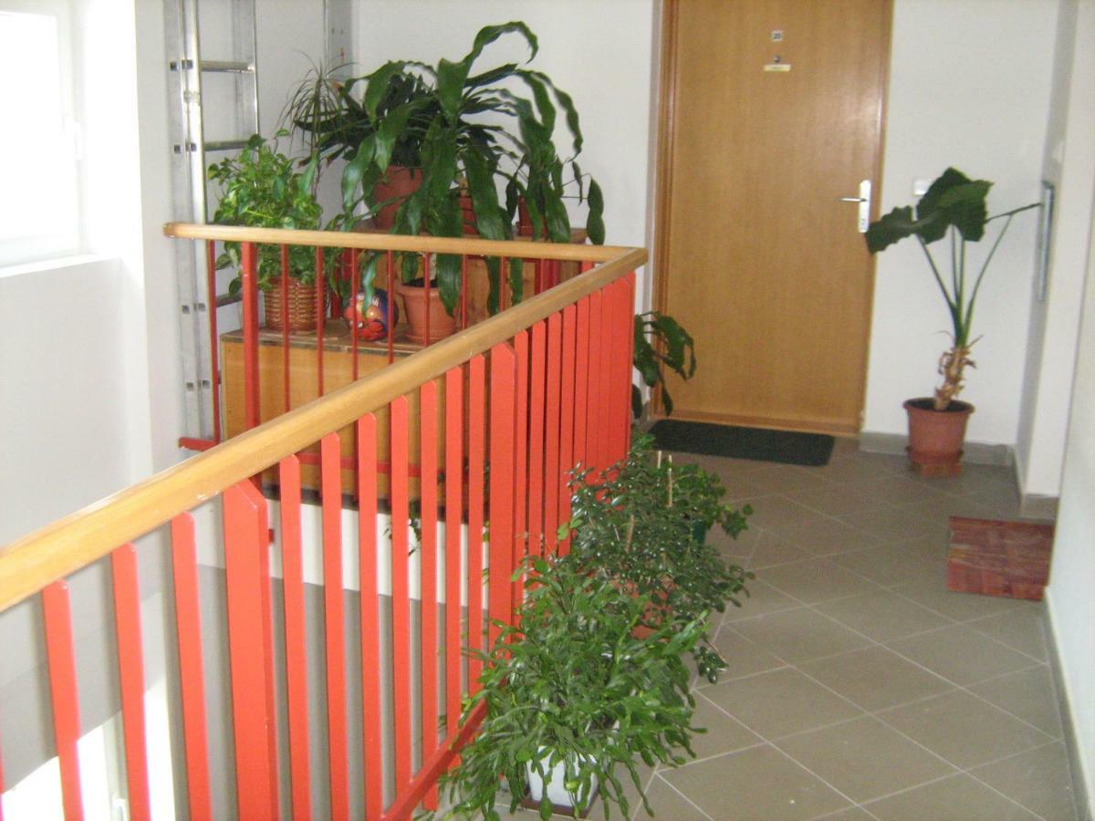 Apartment Diklic 센 외부 사진